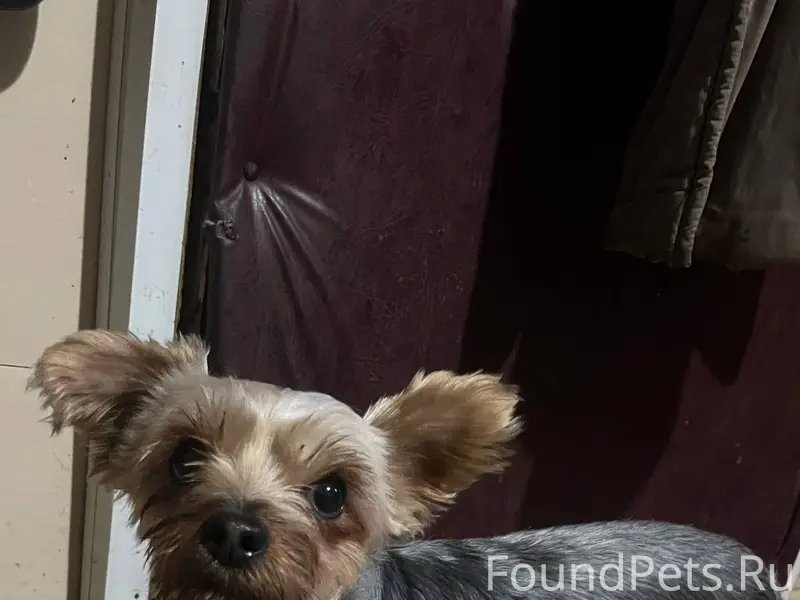 Грязи! Улица Набережная! У ког...