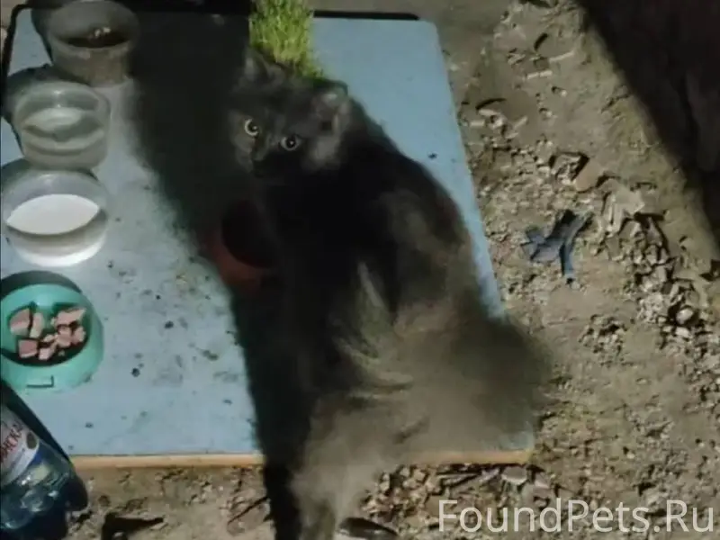 14 января в подвале дома по...