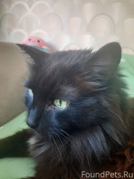 Тольятти ,Центральный район,ул...