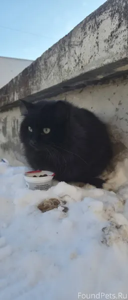 Псков.Здравствуйте! Кто может ...