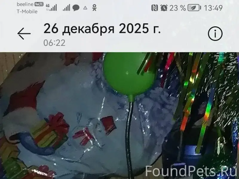 Здравствуйте, в районе 6 этажк...