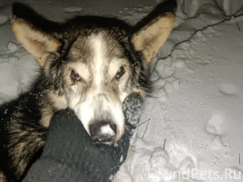 Г.Балашиха,Вишняковский парк ,...