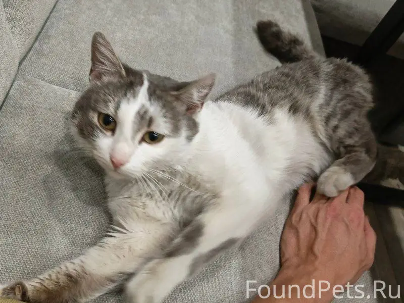 Всем доброго времени!!! Помоги...