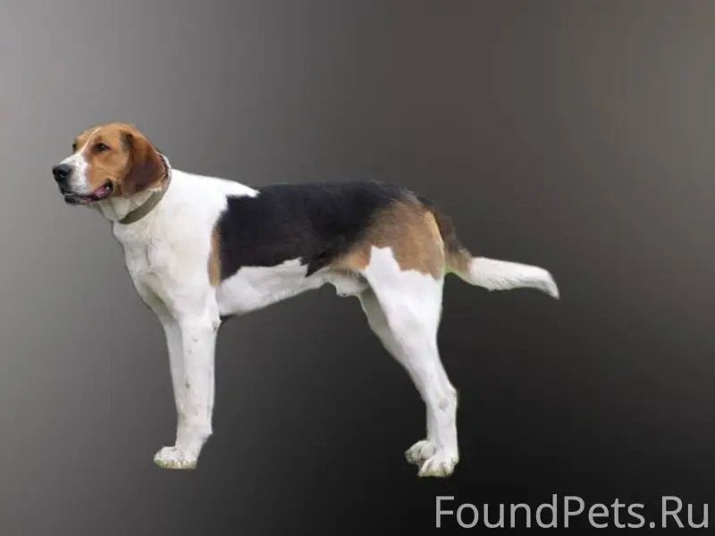 15.01.2026 в районе деревни...