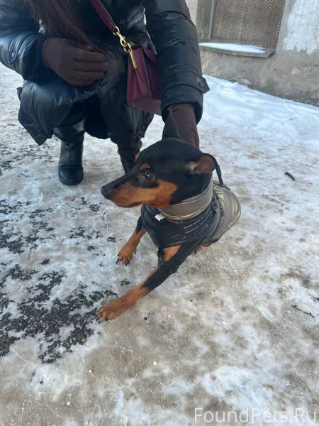 Только что на гоголя около най...