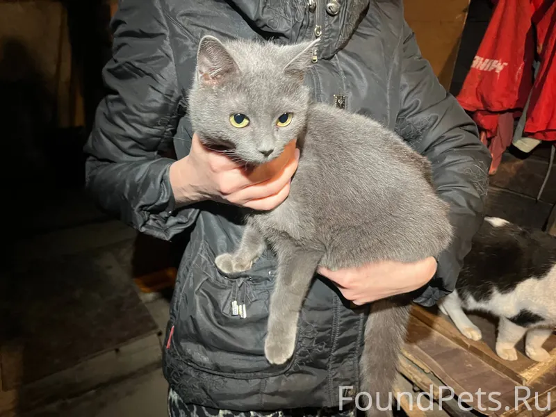 15.01. в подвале на 165...