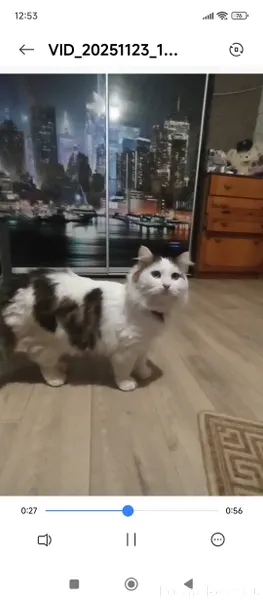 Внимание! Ялта, район Сеченова...