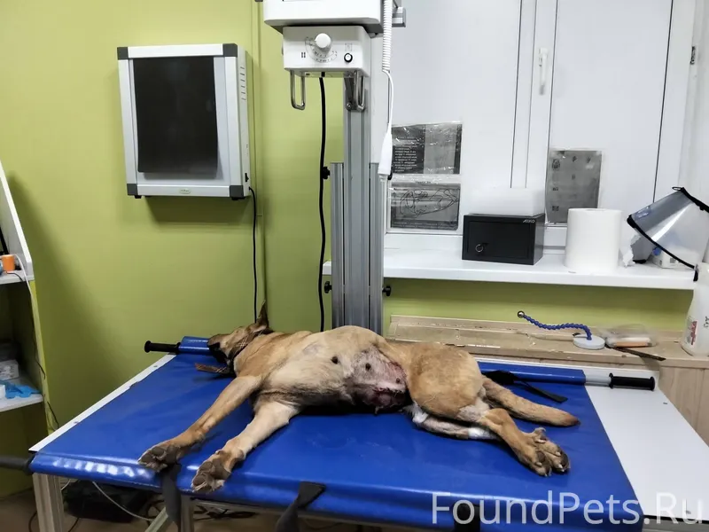 ❗️❗️❗️ВНИМАНИЕ❗️❗️❗️ ВАЖНАЯ ИН...