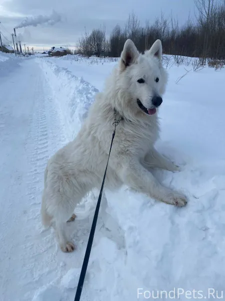 Просим помощи Чувашия Чебоксар...