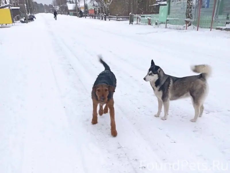 Всем доброго времени суток. С ...