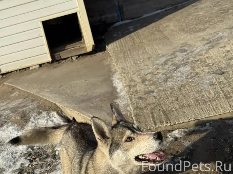 Добрый день, сегодня прибилась...