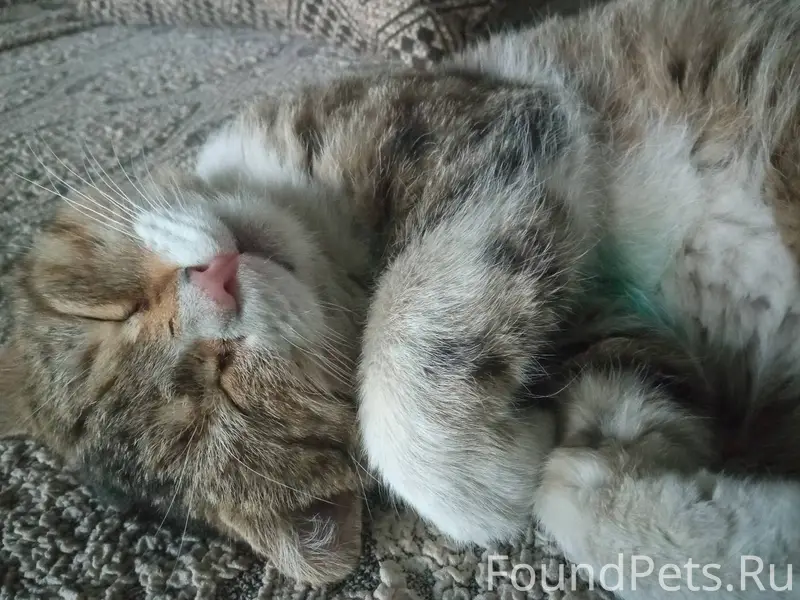 Здравствуйте, 11.01.26 числа п...