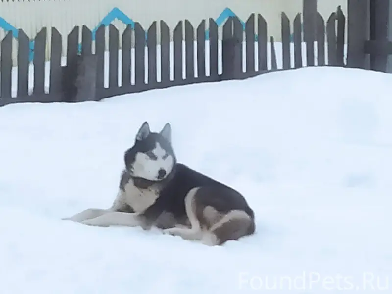 ❗❗Пожалуйста помогите!❗ Пропал...