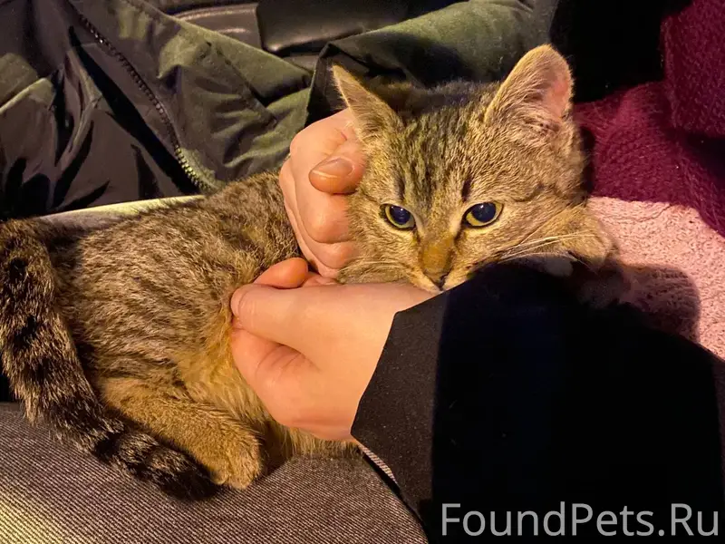 Добрый день всем! Возле «Пятёр...