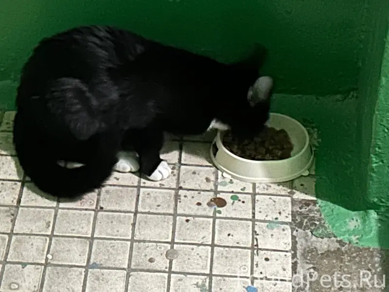 На улице Ленина 65 в 3...