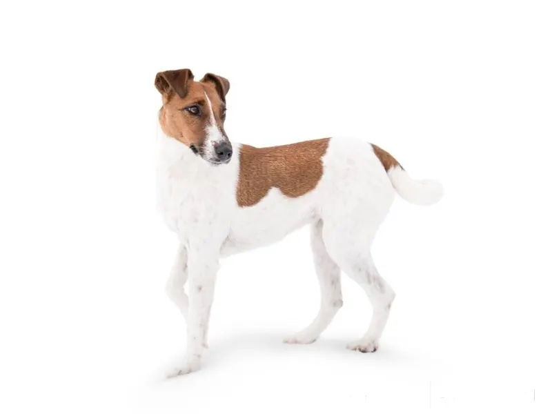 Прошу максимальный репост!!! Д...