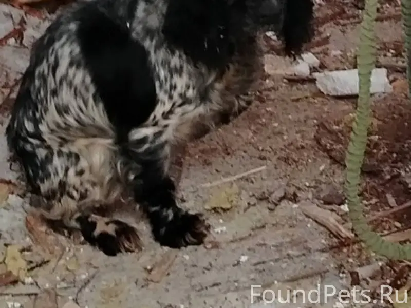 Добрый вечер! Вчера в районе к...