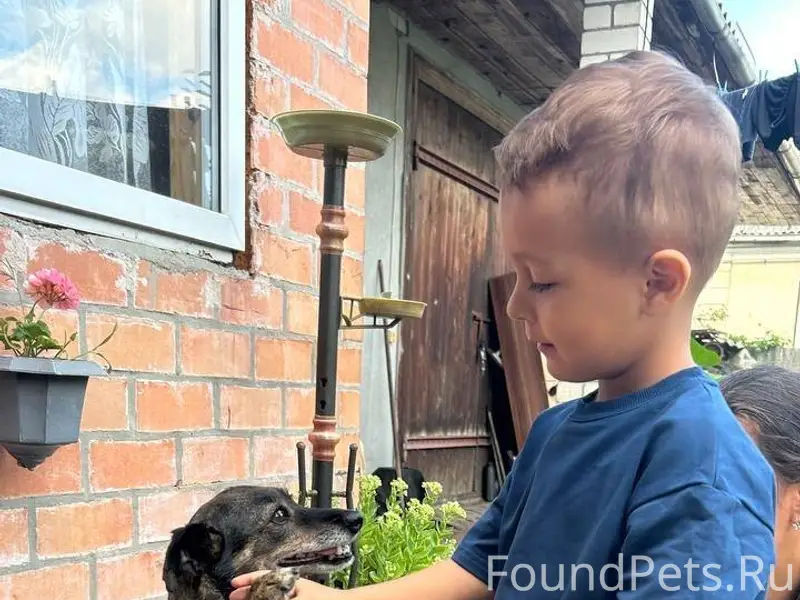 Здравствуйте, 1 января пропала...