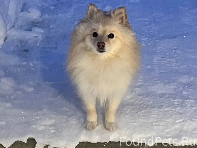 #Калуга район Кубяка, новая шк...