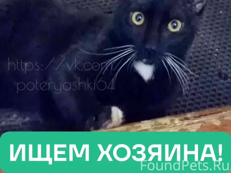 Саратов, в районе СХИ 15.01...