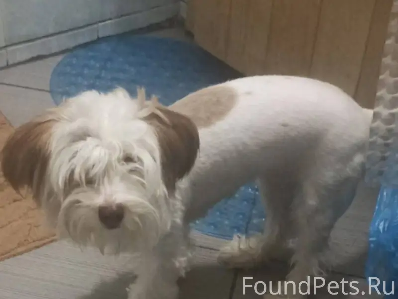 Админ выложи пожалуйста, очень...