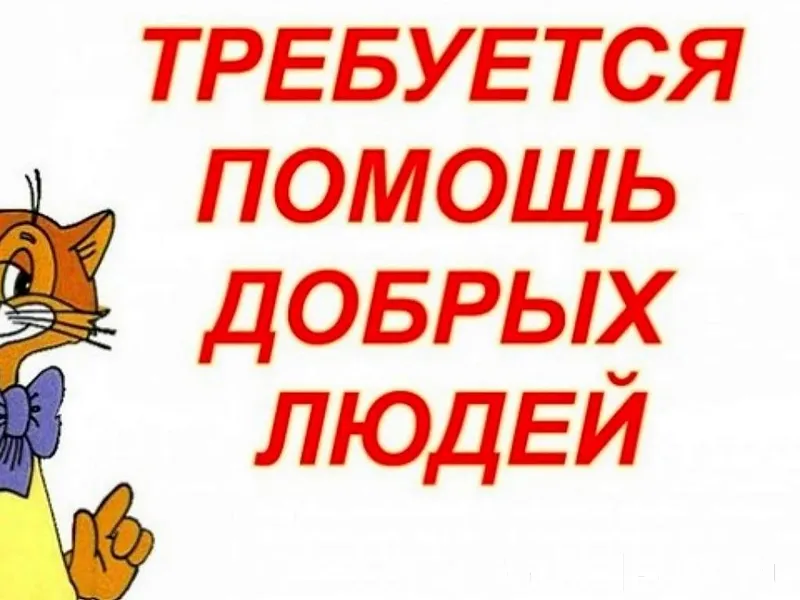 ‼️ ЕСТЬ ЗАДАЧИ ‼️ Для тех...