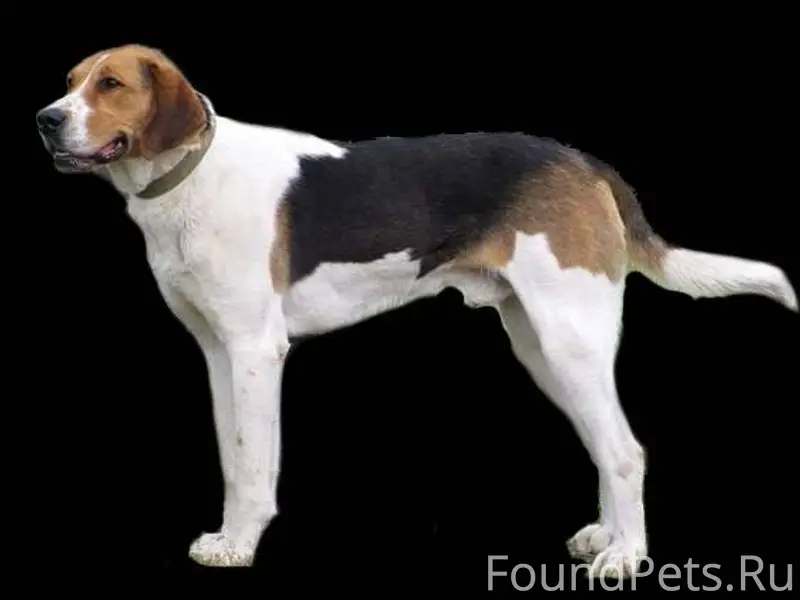 15.01.2026 в районе деревни...