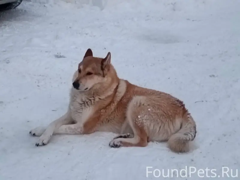 Второй день, практически на од...