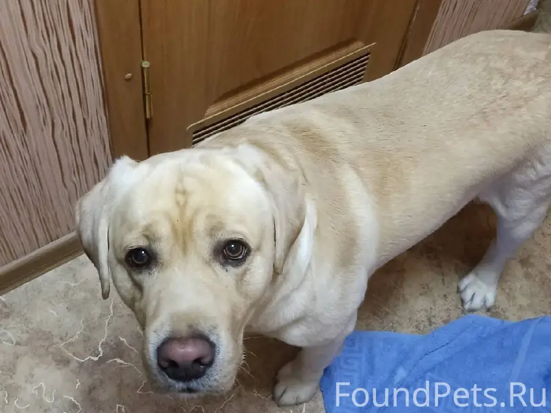 Вчера вечером в районе Текстил...