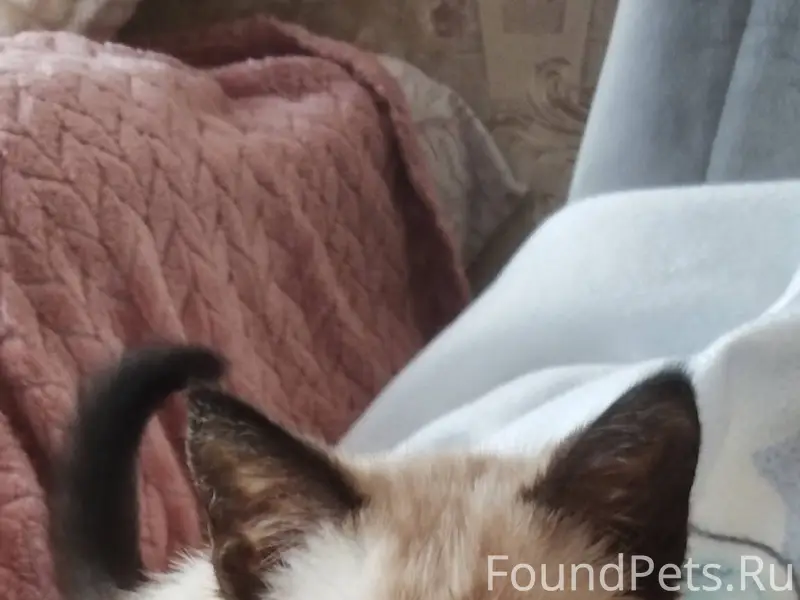 14.01 вечером, на улице Р...