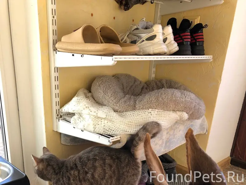 Уважаемые жители нашего поселк...