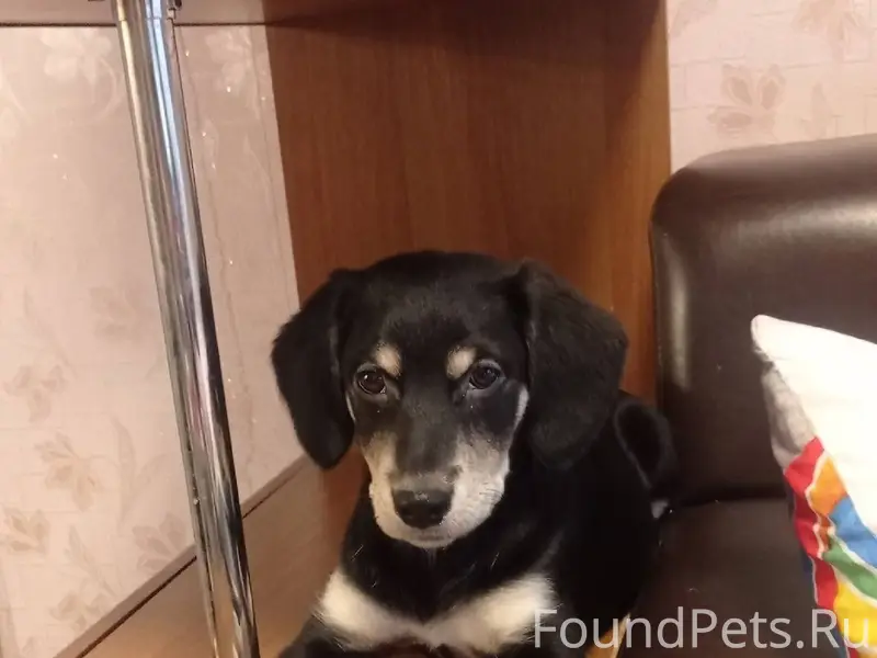 Перед Новым годом на К. Маркса...