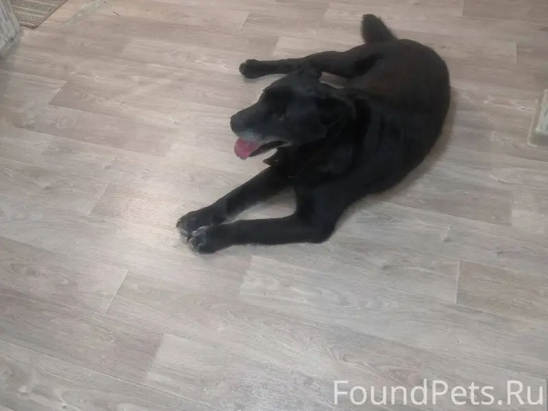 Добрый день . Вчера, 16.01.25....