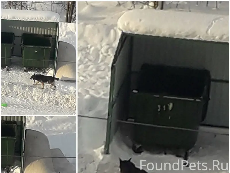 Чья потеря? С оборванным повод...