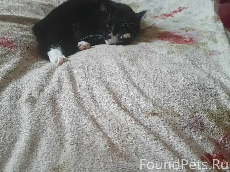 У меня 15.01.26 в...