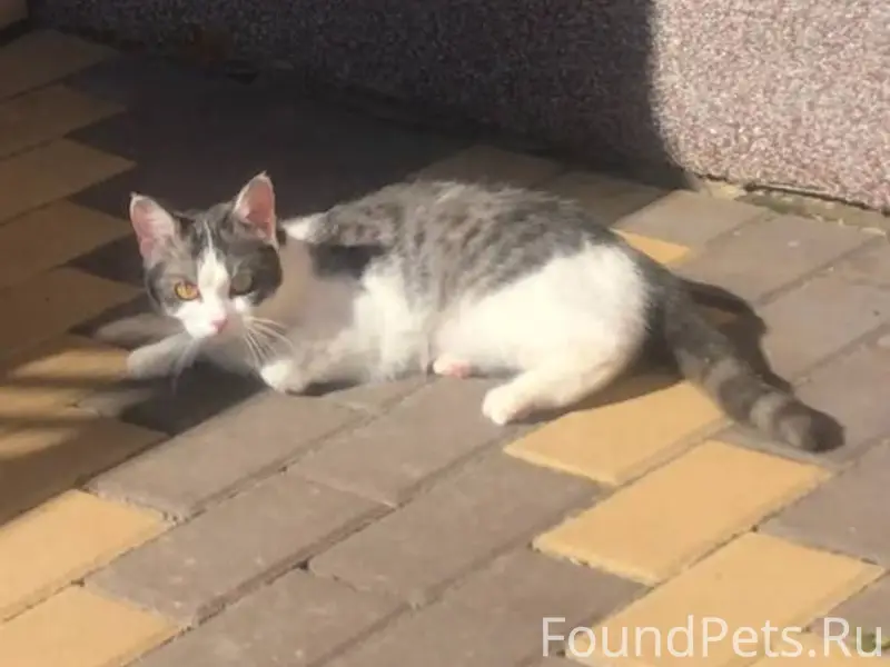 Дорогие жители нашего села! 🆘 ...