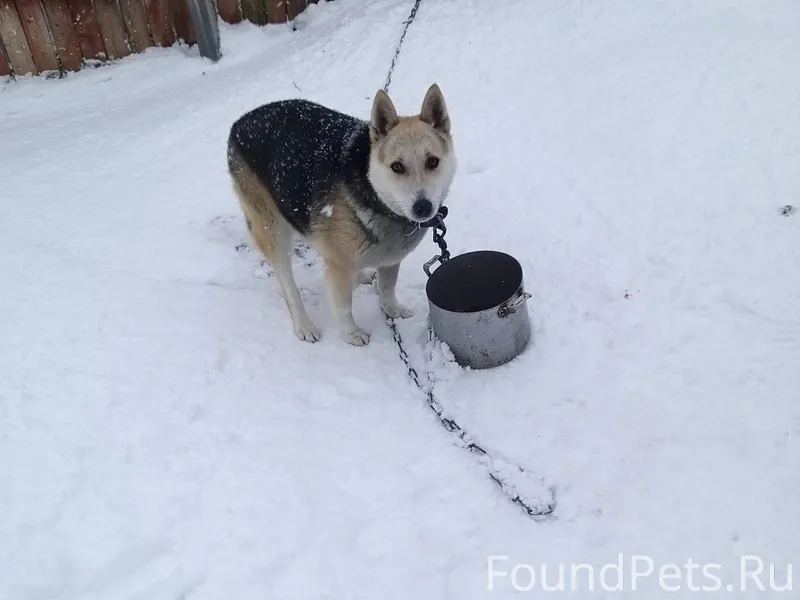 В очередной раз убежал наш гул...