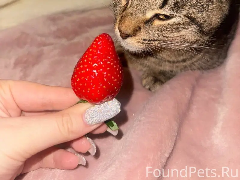 Привет всем, в районе мк. 2...