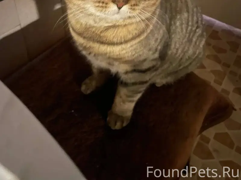 10.01.2026 в районе 9...