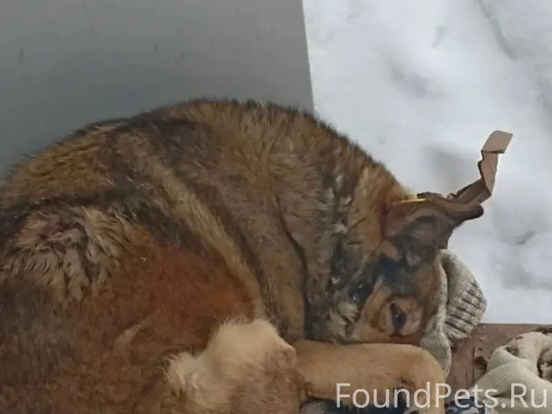 Вчера на Щекино Азот нашла ран...