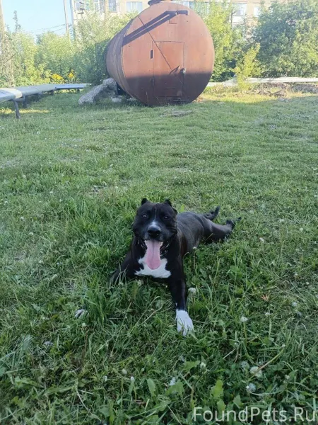 *ВНИМАНИЕ* *РОЗЫСК* История со...