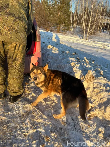 Добрый вечер, недалеко от Сызр...