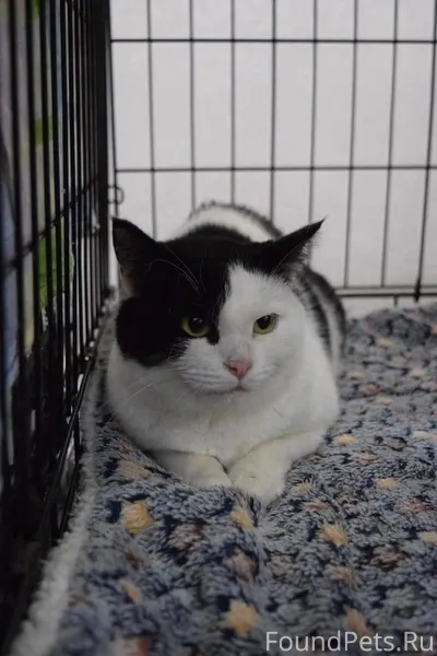 Казань. Вот такая малышка в по...