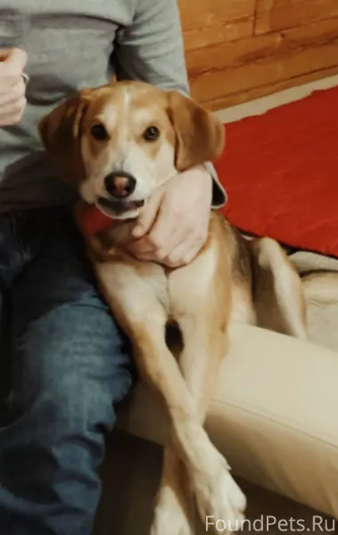 У нас беда, мой муж попал...