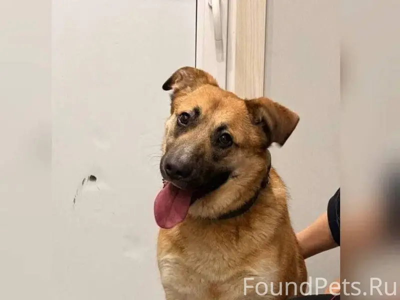 Помогаю информационно... ПРОШУ...