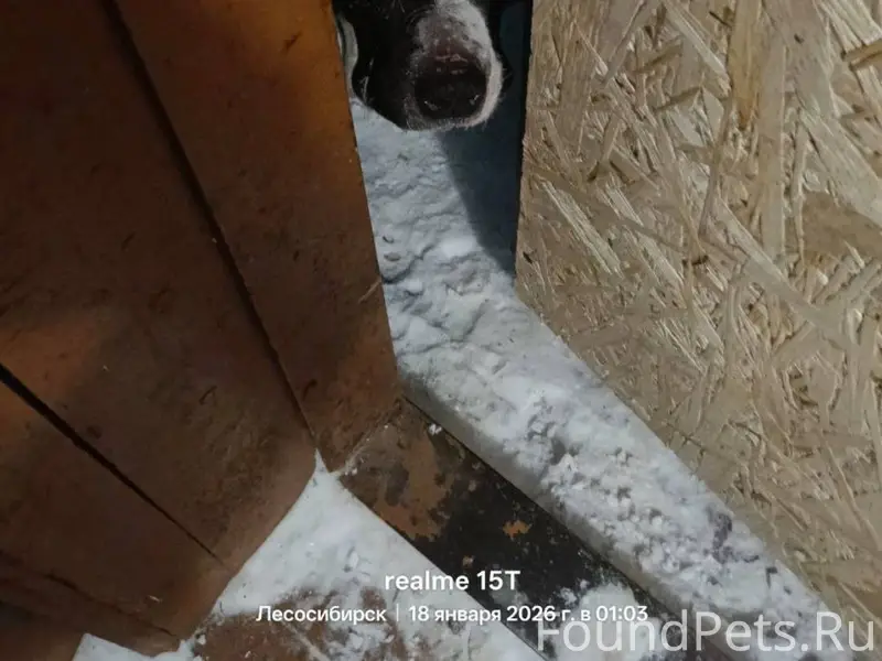 У подъезда ул Промышленная 42 ...