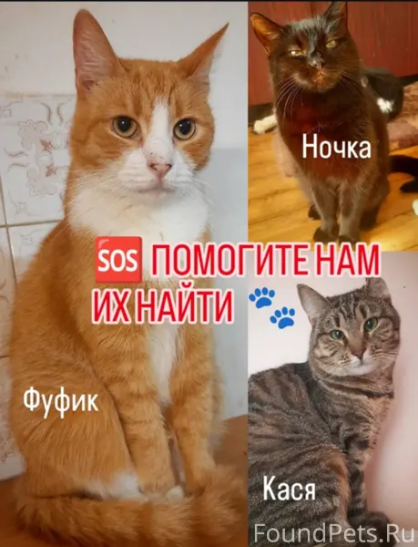 Девятые сутки мы ищем наших по...