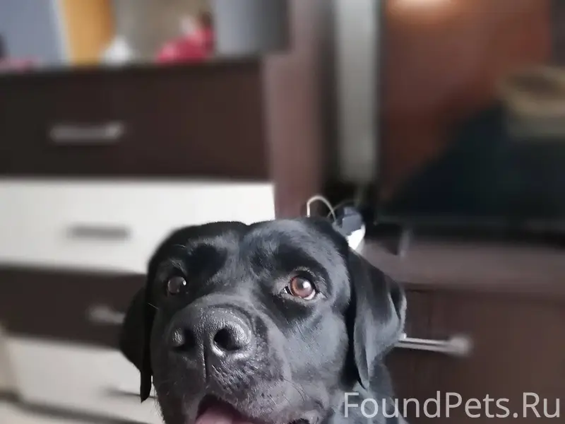 Срочно!!! Максимальный репост!...