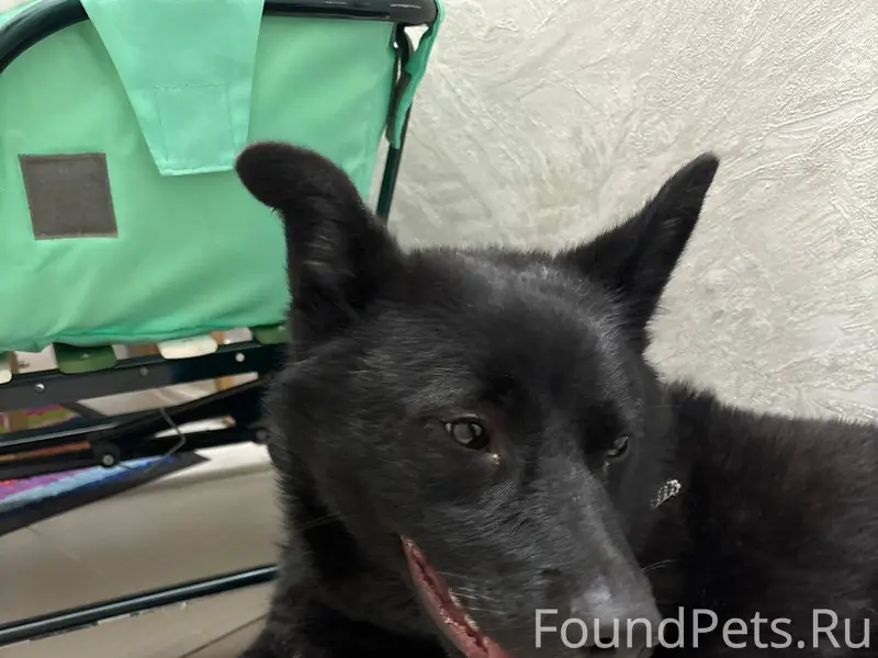 Срочно, помогите пожалуйста 🙏🏻...