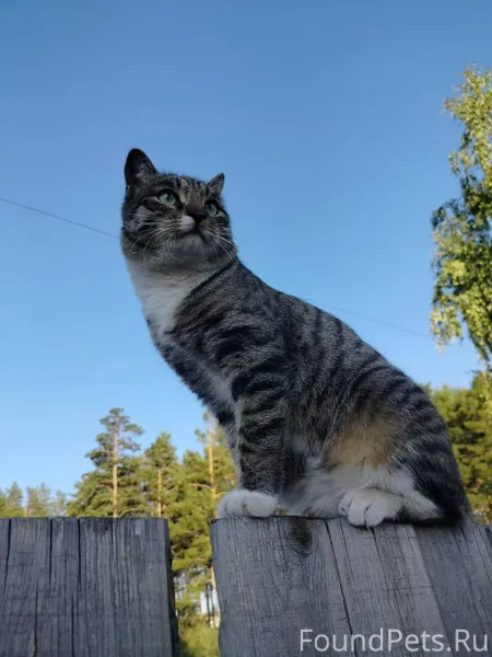 Улан-Удэ ❗ЗА ВОЗНАГРАЖДЕНИЕ ❗ ...